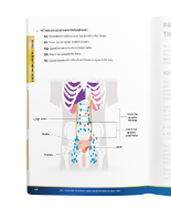 Inside All About The Prostate