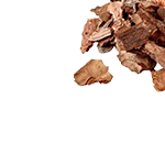 Pine Bark Extract