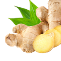 Ginger Root